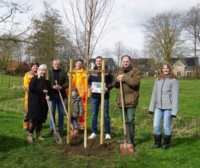 Baum des Jahres 2023 - Stephanie Sieme/AZ Baum des Jahres 2023